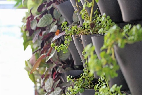 Hotel Verde Zanzibar - Azam Luxury Resort and Spa image 12